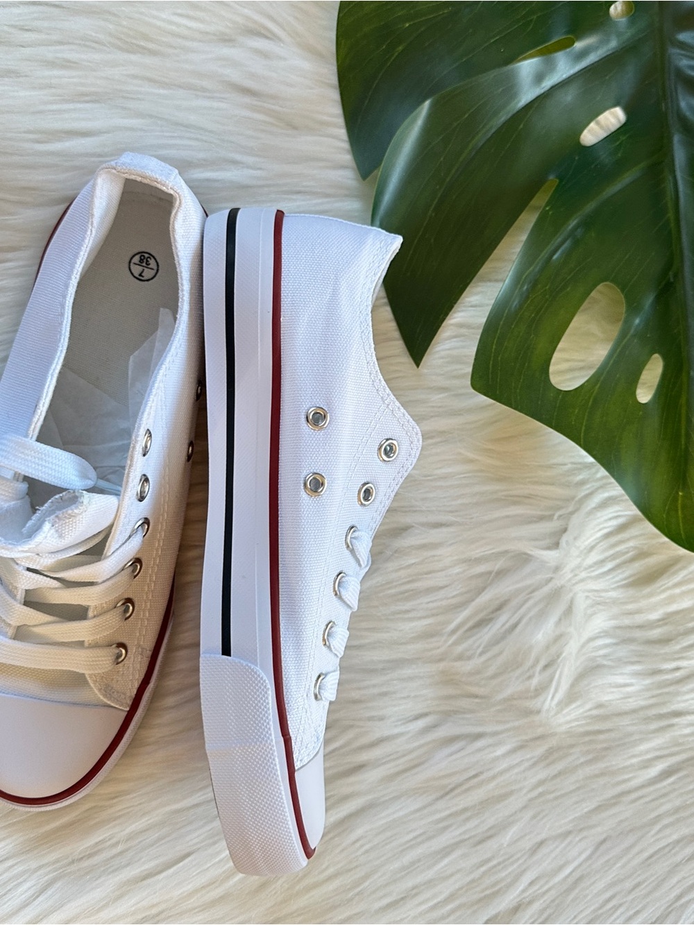 Brand new Classic White Canvas Low-Top Sneakers